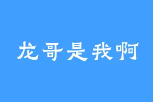 龙哥是我啊