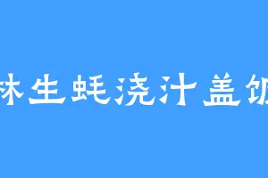 淋生蚝浇汁盖饭