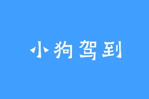 小狗驾到