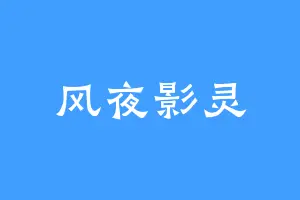 风夜影灵