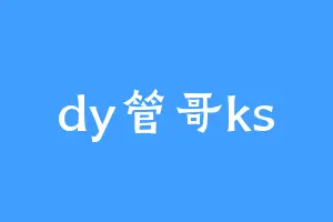 dy管哥ks