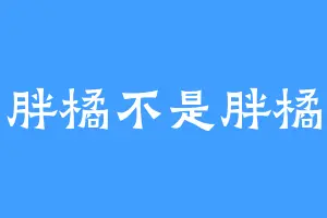 胖橘不是胖橘
